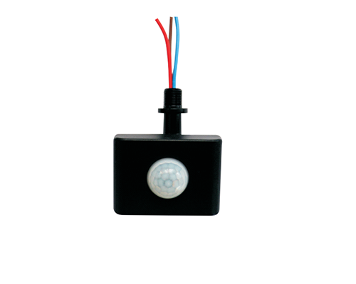 LM-P050
