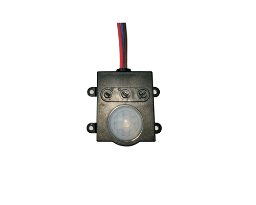 LM-P061